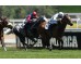  Carrera: P.Nertal Monta: V.Janacek Caballo: Tacarib Bay